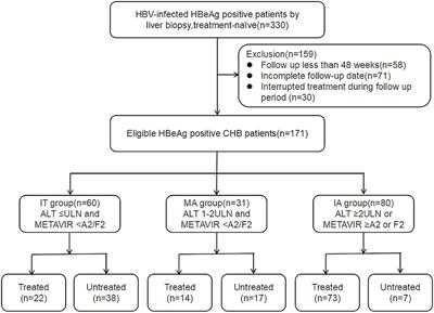 Efficacy of Antiviral Treatment in Liver Biopsy-Proven Immune-Tolerant Chronic Hepatitis B Patients: A Retrospective Cohort Study